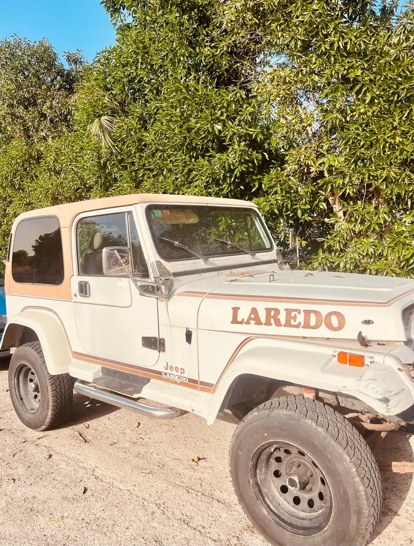 Jeep Wrangler Wrangler 4.0 Beige - 2