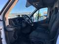 Ford Transit Variobus 2,0 TDCI L3H2 310 Trend - thumbnail 8