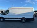 Ford Transit Variobus 2,0 TDCI L3H2 310 Trend - thumbnail 6