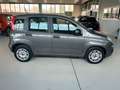 Fiat Panda 1.0 FireFly s&s hybrid Easy Gris - thumbnail 17
