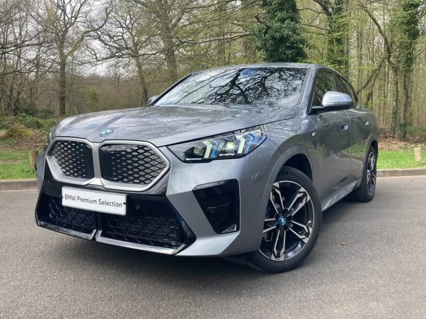 BMW X2 iX2 eDrive20 204ch M Sport Gris - 1