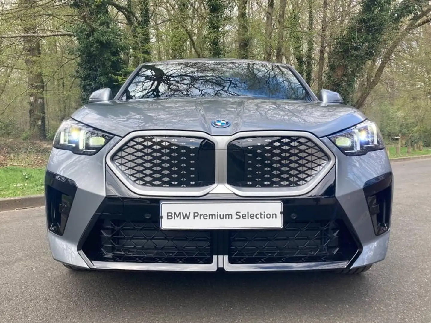 BMW X2 iX2 eDrive20 204ch M Sport Gris - 2