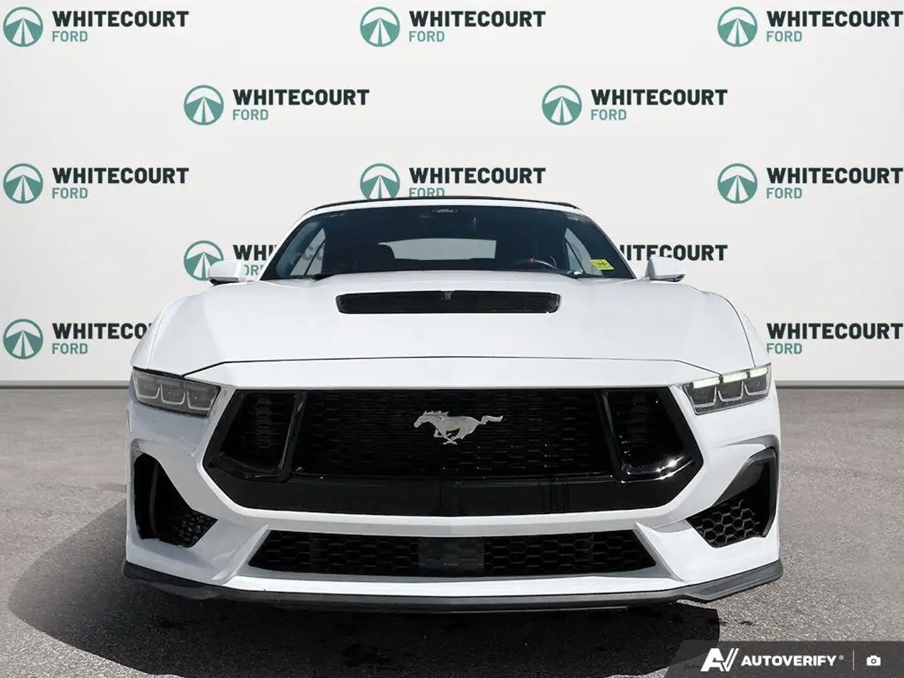 Ford Mustang photo Ford Mustang