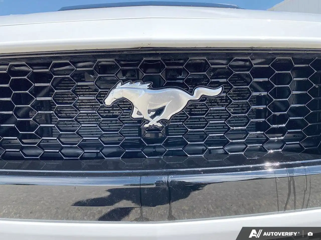 Ford Mustang photo Ford Mustang