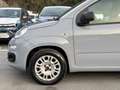 Fiat Panda PANDA 1.0 BENZINA PERFETTA Gris - thumbnail 6