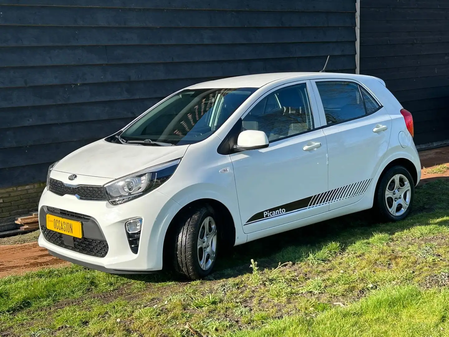 Kia Picanto Picanto 1.0 CVVT Dyn.PlusL Wit - 1