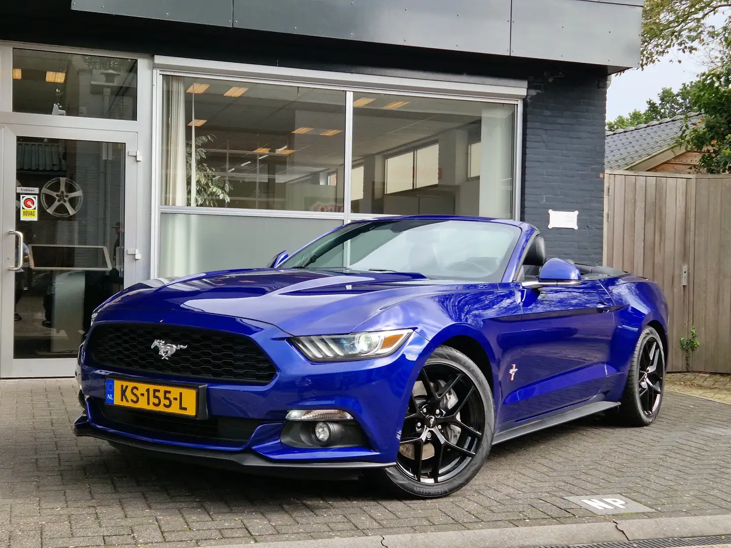 Ford Mustang Convertible 2.3 EcoBoost NIEUWSTAAT / FULL OPTIONS Blauw - 1