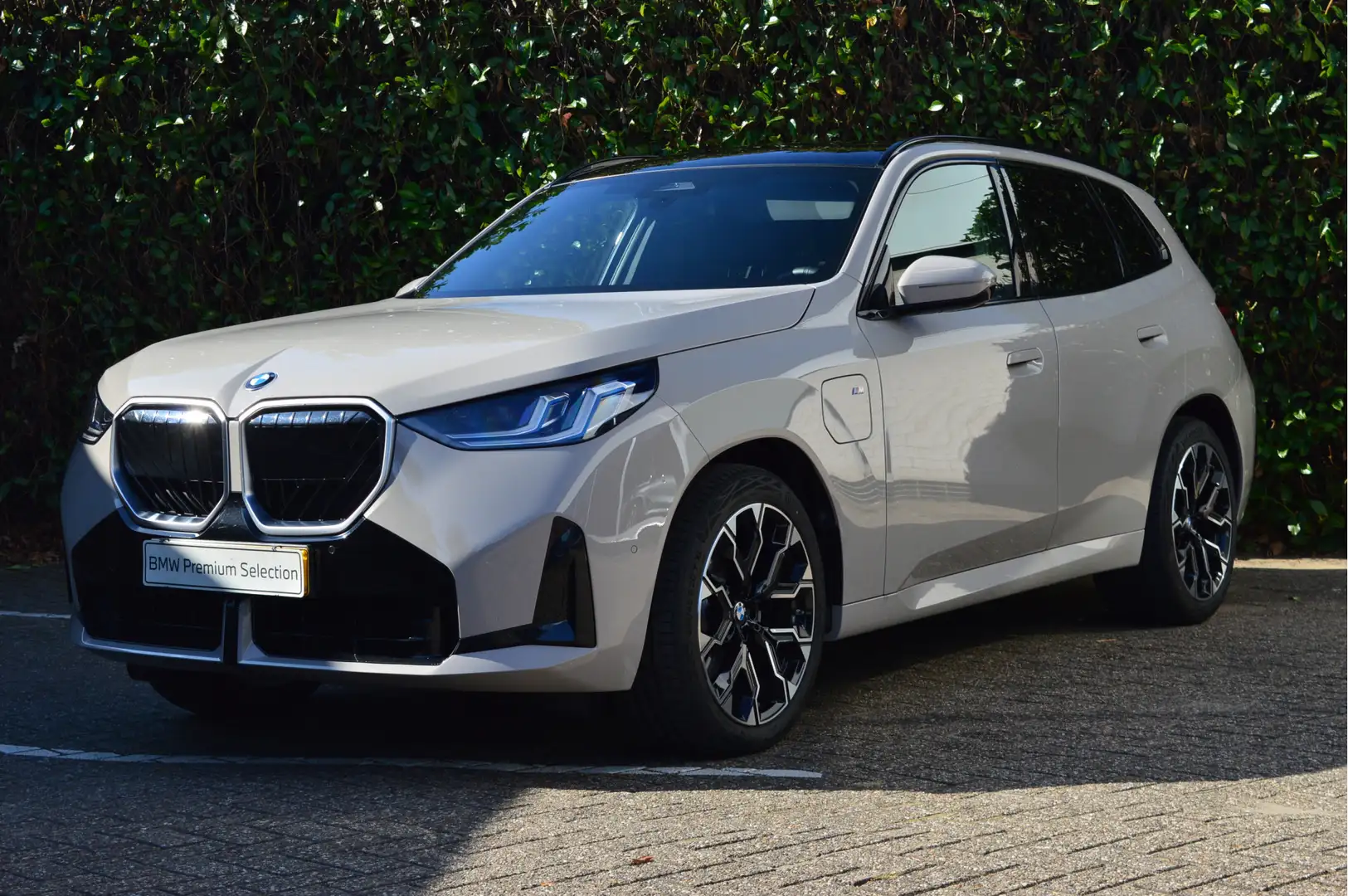 BMW X3 30e xDrive M Sport Automaat / Panoramadak / Trekha Grijs - 1