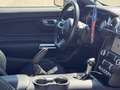 Ford Mustang Fastback 2.3 EcoBoost Aut. Gris - thumbnail 12