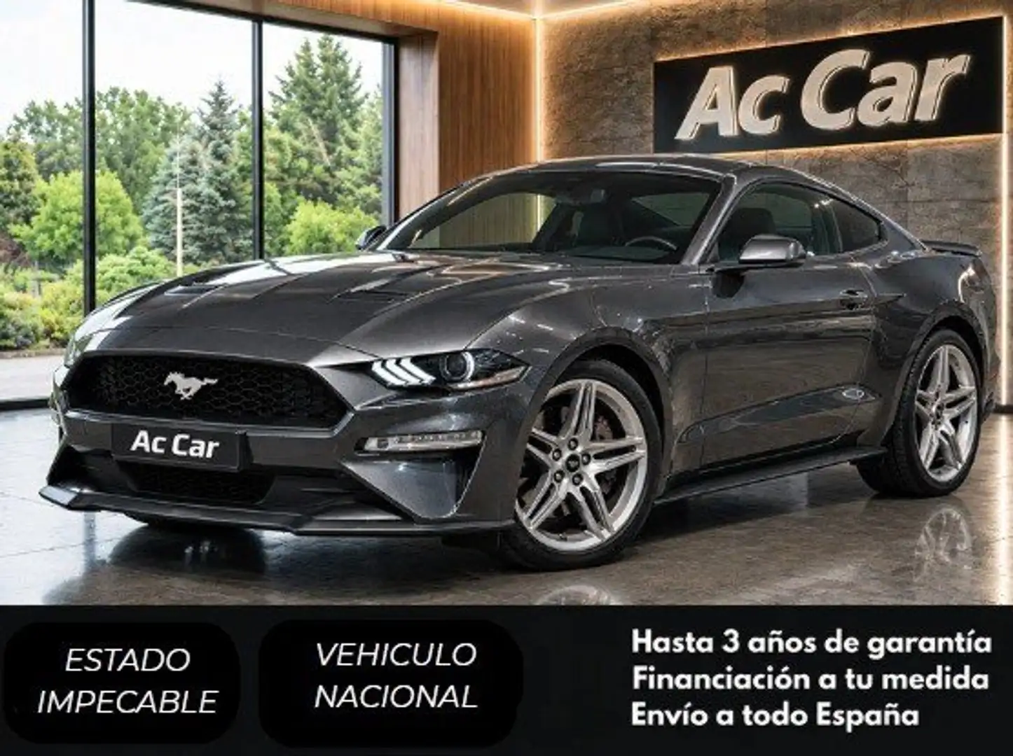 Ford Mustang Fastback 2.3 EcoBoost Aut. Gris - 1