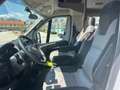 Fiat Ducato Fiat Ducato Carasuite 650 MF | 5 Posti Blanc - thumbnail 8