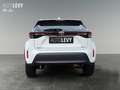 Toyota Yaris Cross Hybrid Business Sitzheizung*CarPlay Bianco - thumbnail 5