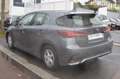 Lexus CT 200h 200H BUSINESS EUROD-T Grau - thumbnail 2