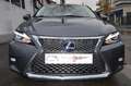 Lexus CT 200h 200H BUSINESS EUROD-T Grau - thumbnail 5
