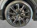 Audi Q8 50 TDI QUATTS LINE AHK+MATRIX+PANO+HUD+RAUTE+ Schwarz - thumbnail 7