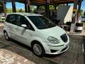 Lancia MUSA 1.4 8v Diva (argento) GPL IDONEA PER NEOPATENTATI Bianco - thumbnail 13