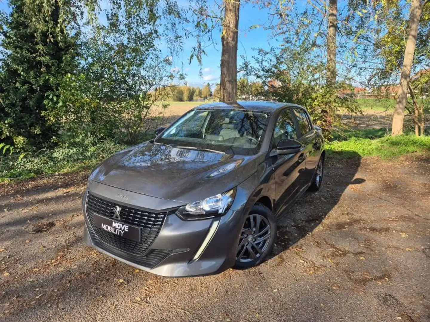 Peugeot 208 II & e- Active Pack Grijs - 1