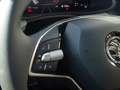 Skoda Kamiq Kamiq 1.0 TSI Selection LED/BC/eFH./AHK/Klima NSW Gris - thumbnail 11
