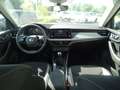 Skoda Kamiq Kamiq 1.0 TSI Selection LED/BC/eFH./AHK/Klima NSW Gris - thumbnail 20