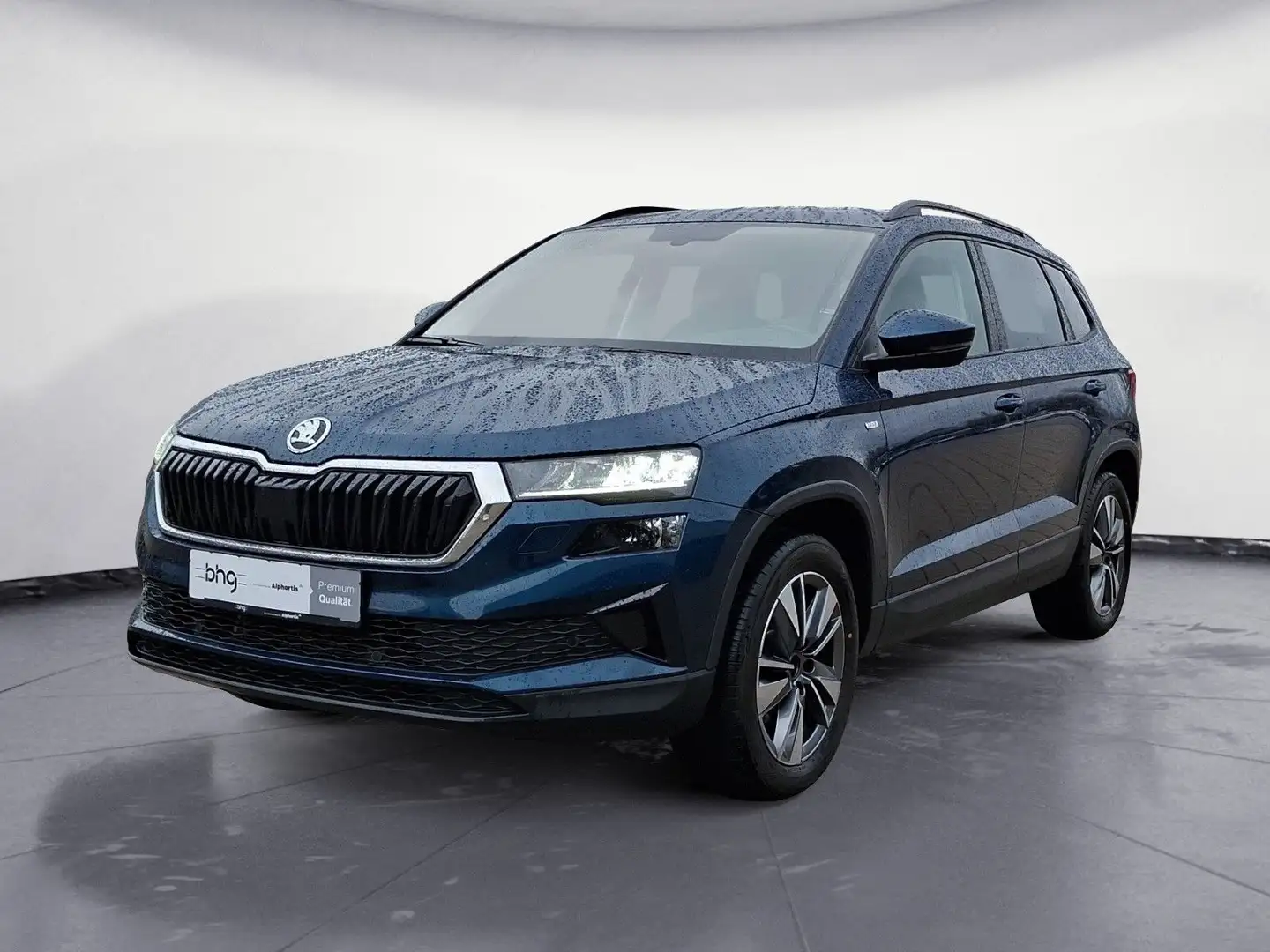 Skoda Karoq 2.0 TDI DSG Tour 4x4 Bleu - 2