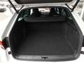 Skoda Superb Kombi SPORTLINE PHEV 156/218 DSG *STANDHZG / MA... Weiß - thumbnail 15