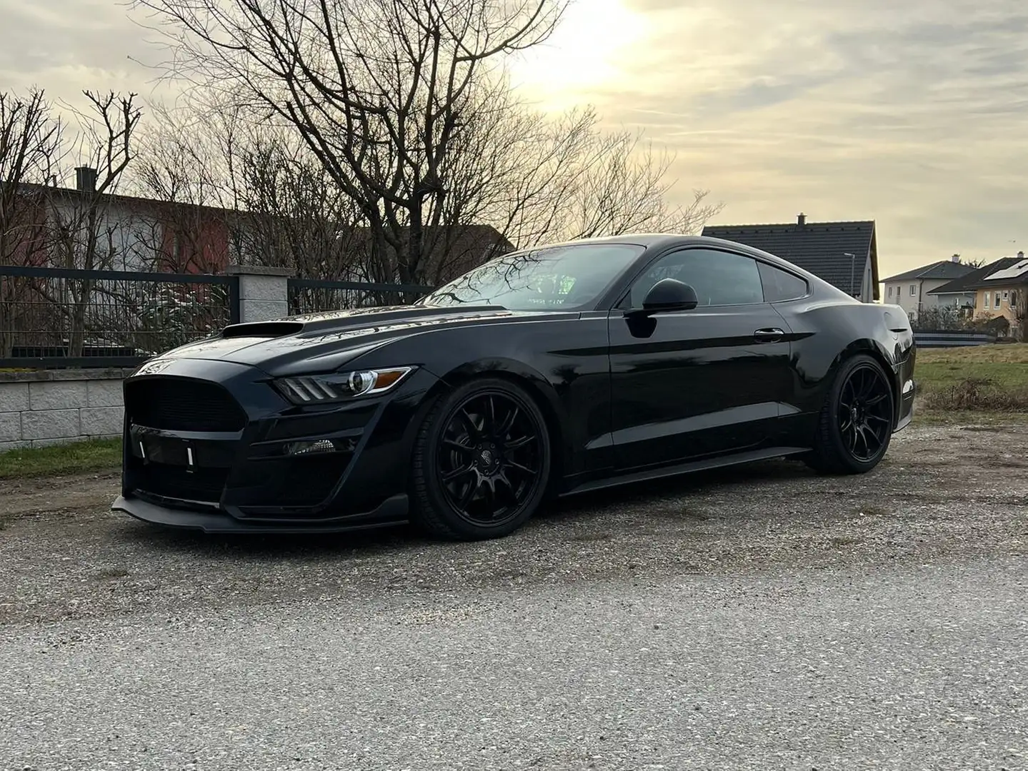 Ford Mustang Mustang 2,3 EcoBoost Schwarz - 2