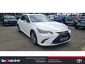 Lexus ES 300 300h EU6d Style Edition Standheizung LED-Hauptsche Weiß - thumbnail 7