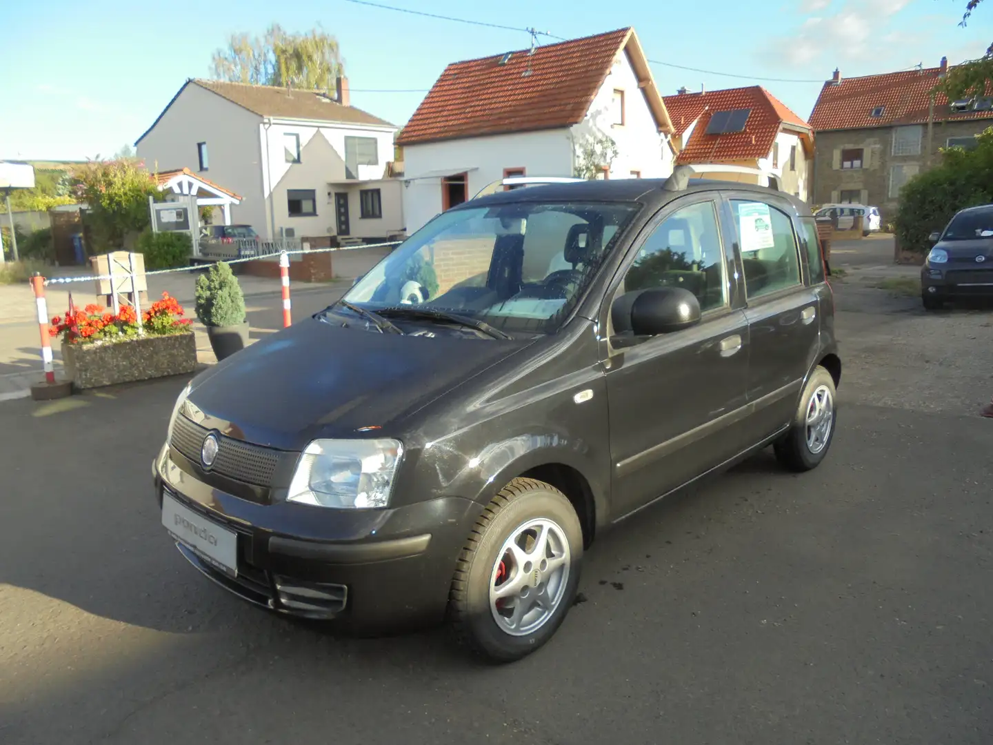 Fiat Panda Panda 1.2 Classic Schwarz - 2