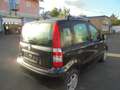 Fiat Panda Panda 1.2 Classic Schwarz - thumbnail 3