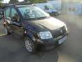 Fiat Panda Panda 1.2 Classic Schwarz - thumbnail 5