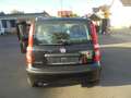 Fiat Panda Panda 1.2 Classic Schwarz - thumbnail 12