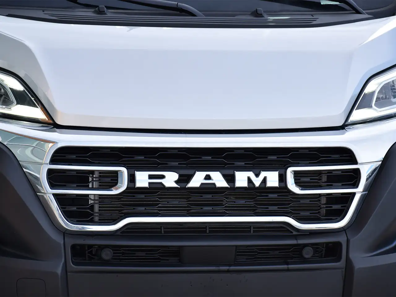 RAM Promaster снимка RAM Promaster