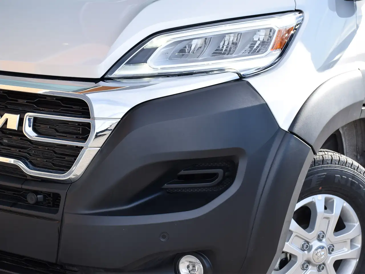 RAM Promaster снимка RAM Promaster