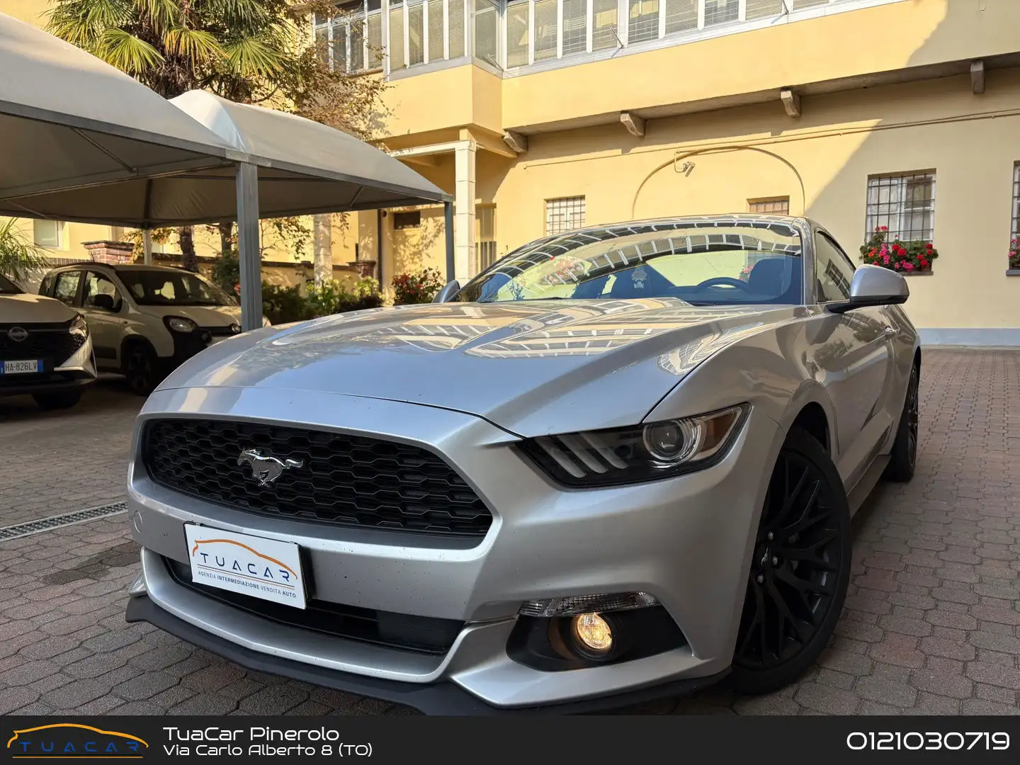 Ford Mustang -- 2.3 EcoBoost Gris - 1