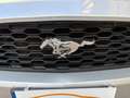 Ford Mustang -- 2.3 EcoBoost Gris - thumbnail 12