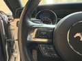 Ford Mustang -- 2.3 EcoBoost Gris - thumbnail 21