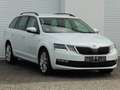 Skoda Octavia 1.6 TDI DSG Drive LED Navi Tempomat DAB Weiß - thumbnail 13
