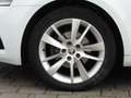 Skoda Octavia 1.6 TDI DSG Drive LED Navi Tempomat DAB Weiß - thumbnail 15
