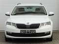Skoda Octavia 1.6 TDI DSG Drive LED Navi Tempomat DAB Weiß - thumbnail 17