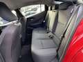 Toyota Prius 2.0 Plug-in  Executive *Winterräder* Rot - thumbnail 13