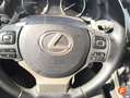 Lexus NX 300 300h Executive Kick Power+ Navigation 4WD Azul - thumbnail 23