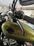 Harley-Davidson Softail Breakout FXBR 114 Verde - thumbnail 10