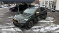BMW X2 18i Edition M Sport Goldplay LED Navi 20 Zoll Grün - thumbnail 23