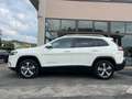 Jeep Cherokee 2.2 Mjt AWD Active Drive I Limited Wit - thumbnail 14