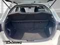 Toyota Yaris Hybrid 1.5 Business Edition 5t Dual-VVT-i Weiß - thumbnail 14