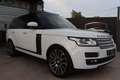 Land Rover Range Rover 4.4SDV8 Autobiography Aut. Blanco - thumbnail 2