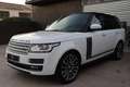 Land Rover Range Rover 4.4SDV8 Autobiography Aut. Blanco - thumbnail 1