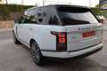 Land Rover Range Rover 4.4SDV8 Autobiography Aut. Blanco - thumbnail 5