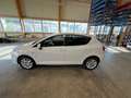 SEAT Ibiza ST Chili&Style 1,2 TSI - thumbnail 11