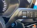 Ford Focus 1.0 Ecoboost Active 125 Rojo - thumbnail 15